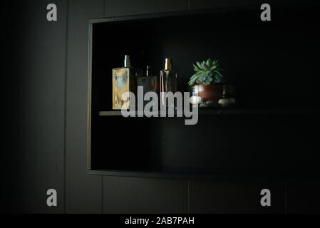 three perfume bottles and a potted succulent plant in a black shelf hanging on a black wall