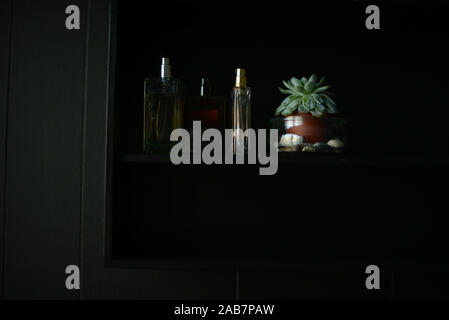 three perfume bottles and a potted succulent plant in a black shelf hanging on a black wall