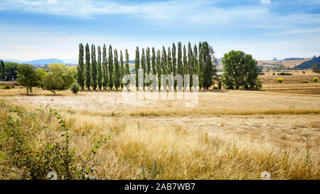 Ein Blick auf die Landschaft Tasmaniens in Australien Stock Photo