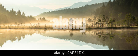 Panoramic of trees mirrored in Pian di Gembro Nature Reserve during a misty sunrise, Aprica, Valtellina, Lombardy, Italy, Europe Stock Photo