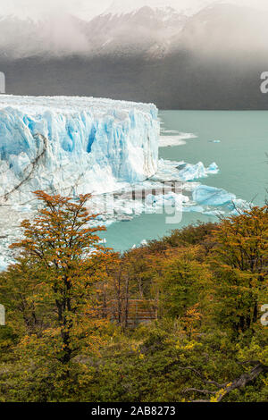 travel, tree, trees, america, south, chile, boat, district, fresh water ...