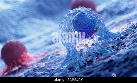 3d rendered illustration of the anatomy of a cancer cell Stock Photo ...