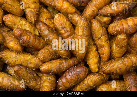 Crispy silkworms close up full frame Stock Photo