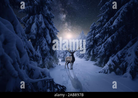A large deer in a white winter night. Starry sky with the milky way Stock Photo