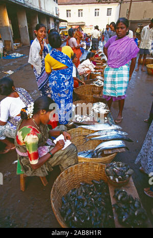 India. Goa. Fish market traders. Stock Photo