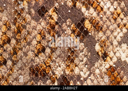 Texture of genuine leather with of scaly exotic reptile close-up, trend pattern, natural brown color, modern background Stock Photo