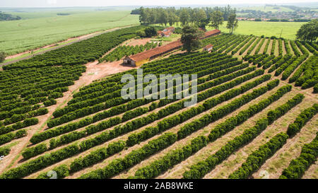 Coffee plantation. Hen house. Simple house. Stock Photo