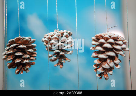 Cones Christmas decoration on blue background Stock Photo
