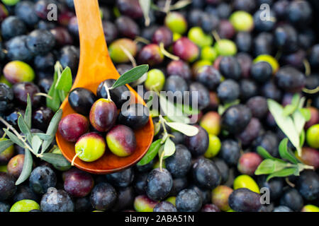Olive wood spoon with fresh olives and leaves on olives background Stock Photo
