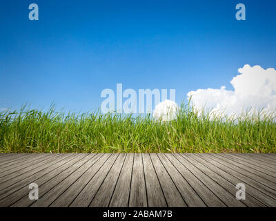 Sicht von einem Bootssteg aus auf gruenes Gras Stock Photo