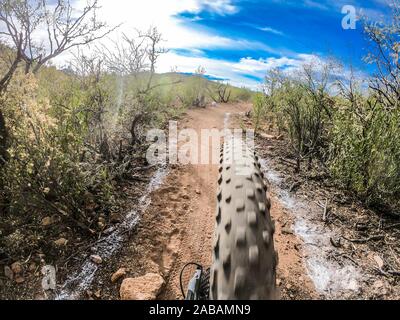 Mountain biking route landscape. Rear wheel Bicycle, pedaling  © (© Photo: LuisGutierrez / NortePhoto.com) Paisaje de ruta de Ciclismo de montaña. Stock Photo
