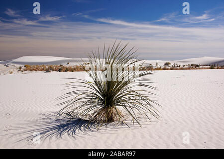 White Sands National Park, New Mexico, USA Stock Photo