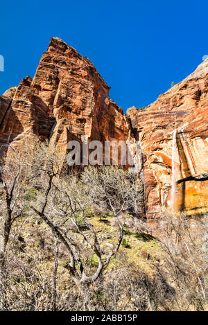 Weeping Rock Waterfall in Zion National Park Stock Photo