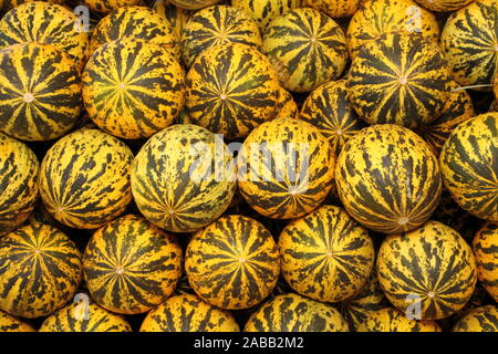 fresh melons in the market Stock Photo