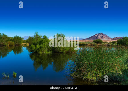 Reflections on a pond with mountain at Henderson Bird Viewing Preserve Stock Photo