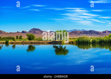 Tree reflections on a pond with mountain at Henderson Bird Viewing Preserve Stock Photo