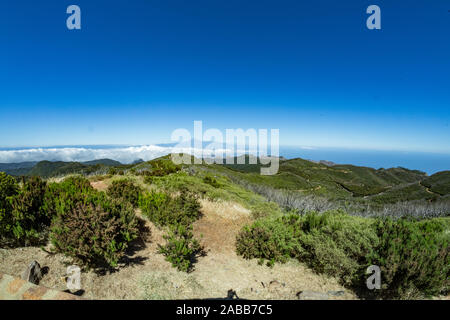 Relict forest on the slopes of the mountain range of the Garajonay National Park. Giant Laurels and Tree Heather along narrow winding paths. Paradise Stock Photo