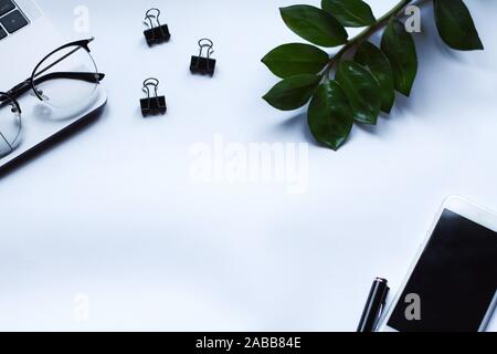 Desk with laptop, eye glasses, pen and leaves of plant on right. Top view with copy space for your ad. Office style, art place, business, finance, ins Stock Photo