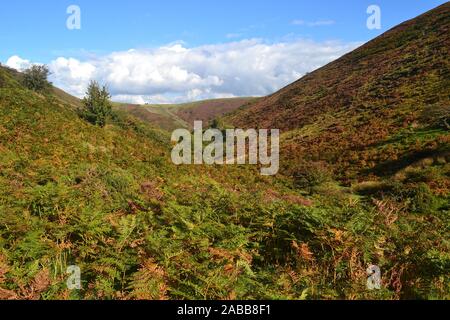 View of the Shropshire Hills, from Carding Mill Valley to the Long Mynd. England, UK Stock Photo