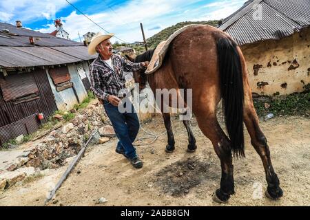 An old cowboy named Ruben Arviuzu Reyes prepares his horse by placing the Saddle in the Pilares village of Nacozari. Ruben takes care of the old constructions of the ghost town which is also a tourist town or abandoned mining town. Pilares, is a city in the municipality of Nacozari de García, Sonora, Mexico, in the upper area of the Sierra Madre Occidental. Since 1960 it is known as a ghost town due to its depopulation in the 1920s, due to the closure and elimination of the mining companies that were here and that gave rise to it. © © (© Photo: LuisGutierrez NortePhoto.com)  un viejo vaquero d Stock Photo