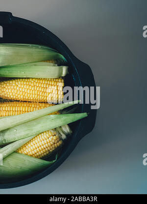 Cooked corn on the Cob. Golden colored boiled corn on the cob Stock Photo
