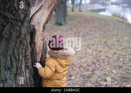 A little boy in winter cloths is hiding behind a big tree trunk. Late autumn or winter forest. Stock Photo