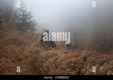 Two mountain hikers with backpacks and walking sticks walking through tall, dry, yellow grass covered by thick mist