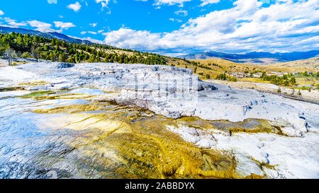 Hot water and minerals creating terraces as they are flowing from Palette Spring in the Mammoth Springs area of Yellowstone National Park, Wyoming, US Stock Photo