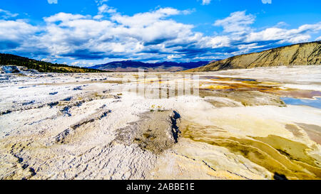 The Calcium Deposits on top of the Main Terrace in the Mammoth Springs area of Yellowstone National Park, Wyoming, United States Stock Photo