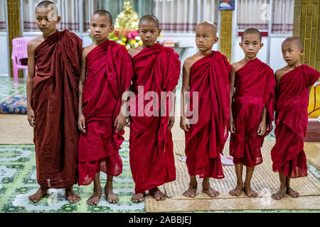 Young Buddhist monks with shaved heads and scarlet robes in a line at a monastery along the Chindwin River in Myanmar (Burma) Stock Photo