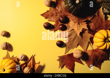 Happy Thanksgiving Day with maple leaves, nut and pumpkin on yellow background Stock Photo