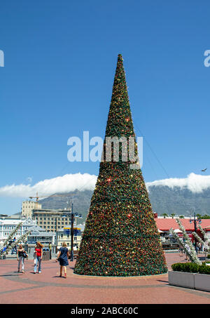 Christmas Tree Cape Town Stock Photo