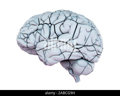 3d rendered medically accurate illustration of a broken human brain Stock Photo