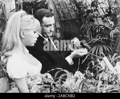 THE GREAT SPY CHASE, (aka LES BARBOUZES), Mireille Darc, 1964 Stock ...