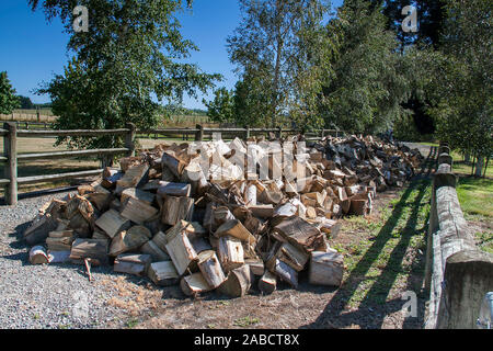 freshly cut  and split Gum tree firewood left on the driveway to dry over summer Stock Photo