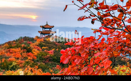 An aerial view of ancient buildings scattering among trees that turndifferent colors as autumn comes and thus contribute a wonderful natural view in J Stock Photo