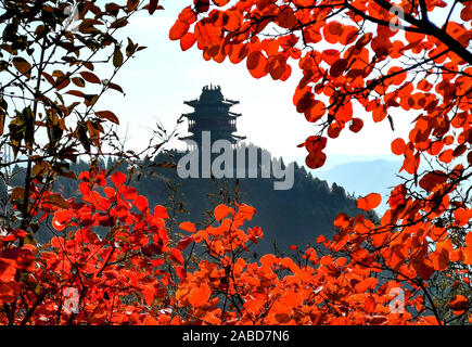 An aerial view of ancient buildings scattering among trees that turndifferent colors as autumn comes and thus contribute a wonderful natural view in J Stock Photo