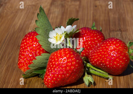 Erdbeeren, Dekoration, Fragaria, Rosengewaechs Stock Photo