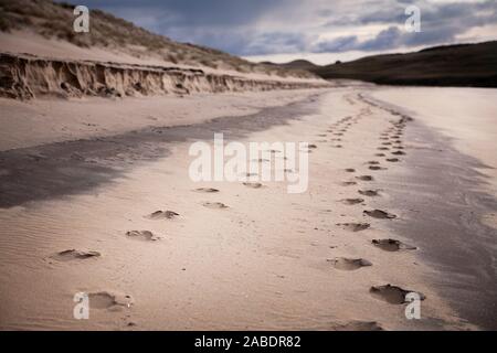 foot prints on the sandy beach Stock Photo