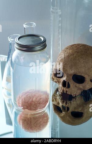 Human brain preserved in formaldehyde for science experiments and ...