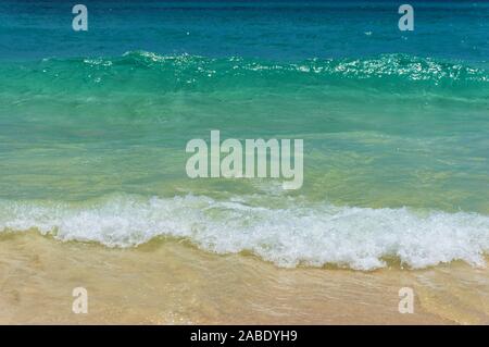 Beautiful tropical beach with soft wave on sandy shore. Summer background Stock Photo