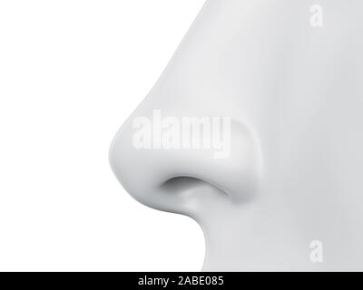 3d rendered medically accurate illustration of a grey abstract female nose Stock Photo