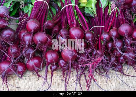 Bundles of fresh ripe beetroot on display at farmers market, Food background Stock Photo