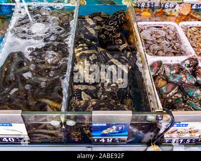 Live Fish and Shellfish in Tanks at a Chinese Seafood Restaurant Sai ...