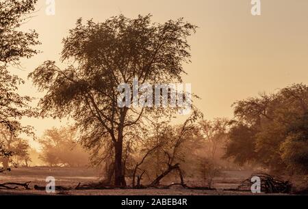 Sunrise in Namibia, Africa Stock Photo