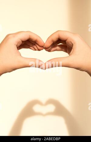 Hands of a teenage girl folded in the shape of a heart and a shadow from them Stock Photo