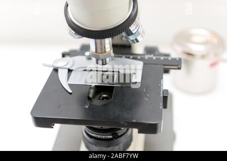 Veterinarian puts a sample under the microscope and examines for pathogenic germs. Stock Photo