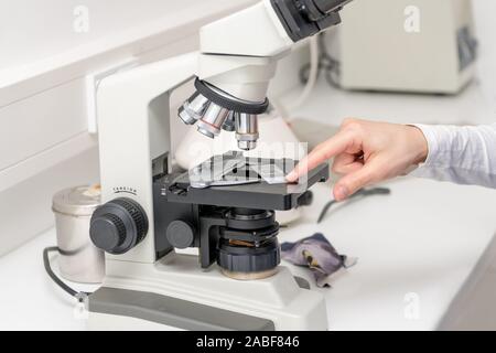 Veterinarian puts a sample under the microscope and examines for pathogenic germs. Stock Photo