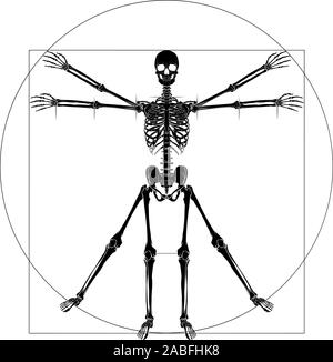 Da Vinci Vitruvian Man Skeleton Stock Vector