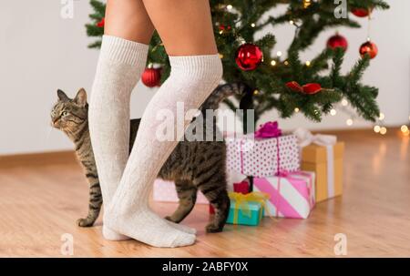woman, cat and gift boxes under christmas tree Stock Photo